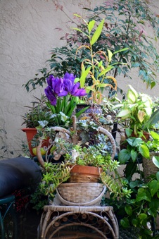 Enlarge photo 54