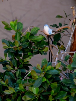 Enlarge photo 56