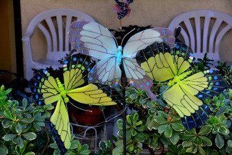 Enlarge photo 59