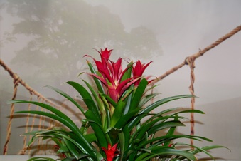 Enlarge photo 66