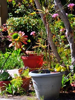 Enlarge photo 68