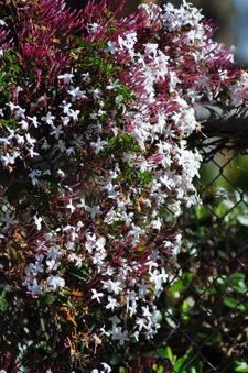 Enlarge photo 84