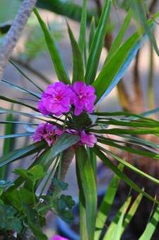 Enlarge photo 89