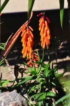 Enlarge photo 93