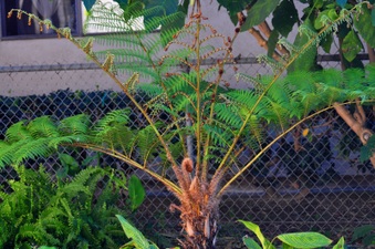 Enlarge photo 98