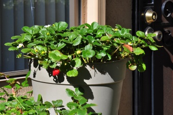 Enlarge photo 104