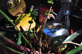 Enlarge photo 114