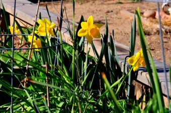 Enlarge photo 116