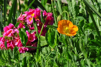 Enlarge photo 118