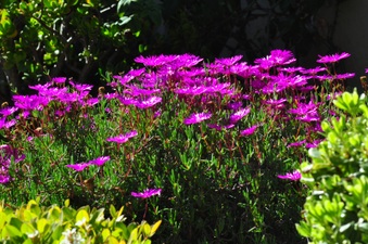 Enlarge photo 122
