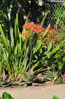 Enlarge photo 123