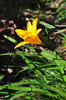Enlarge photo 124