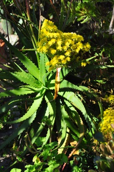 Enlarge photo 126