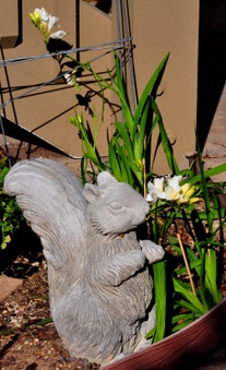 Enlarge photo 128