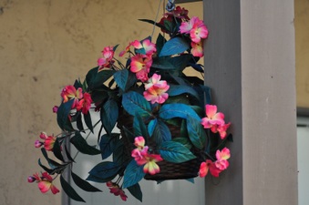 Enlarge photo 152