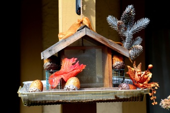 Enlarge photo 172