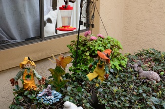 Enlarge photo 178