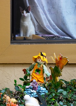 Enlarge photo 177