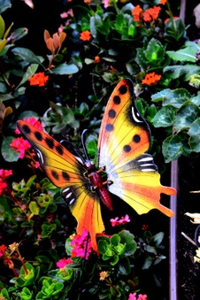 Enlarge photo 206
