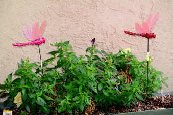 Enlarge photo 208