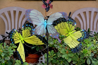 Enlarge photo 210