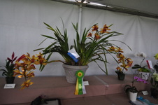 Enlarge photo 37