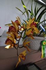 Enlarge photo 38
