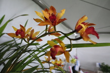 Enlarge photo 39