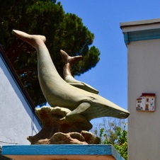 Enlarge photo 18