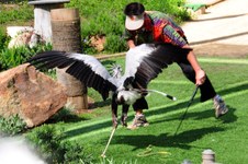 Enlarge photo 19