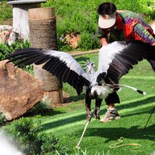 Enlarge photo 20