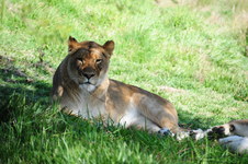 Enlarge photo 21