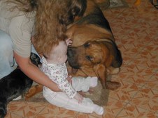 Enlarge photo 21