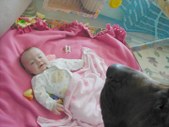 Enlarge photo 17