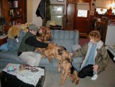 Enlarge photo 4