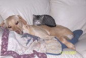 Enlarge photo 16