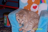 Enlarge photo 7