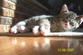 Enlarge photo 9