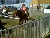 Enlarge photo 17