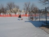 Enlarge photo 4