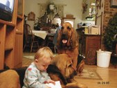 Alyssa & the Hounds