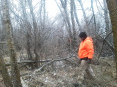 Hunting
