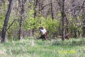 Enlarge photo 9