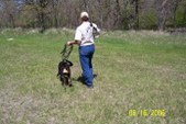 Enlarge photo 11