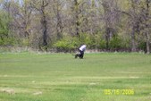 Enlarge photo 18