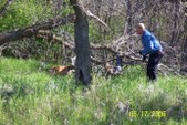 Enlarge photo 24