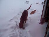 Enlarge MOV 16