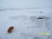 Enlarge photo 19