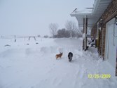 Enlarge photo 23