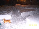 Enlarge photo 5